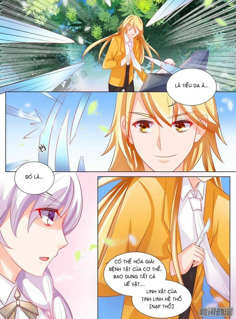 Chước Chước Lưu Ly Hạ: Chapter 92