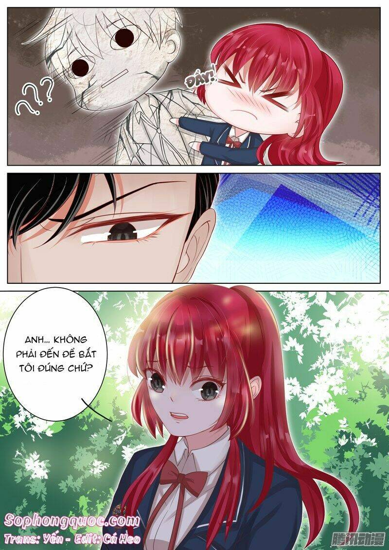 Vương Bài Giáo Thảo: Chapter 11