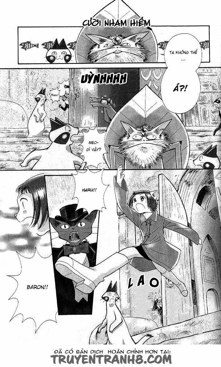 Lời Thì Thầm Từ Trái Tim: Chapter 8