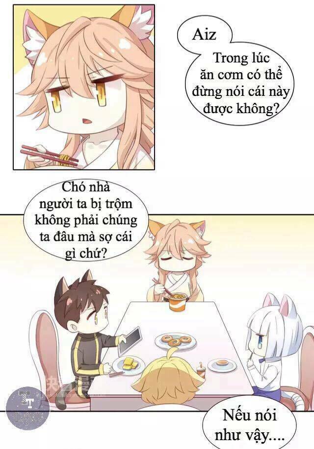 Dưới Móng Vuốt Mèo: Chapter 14