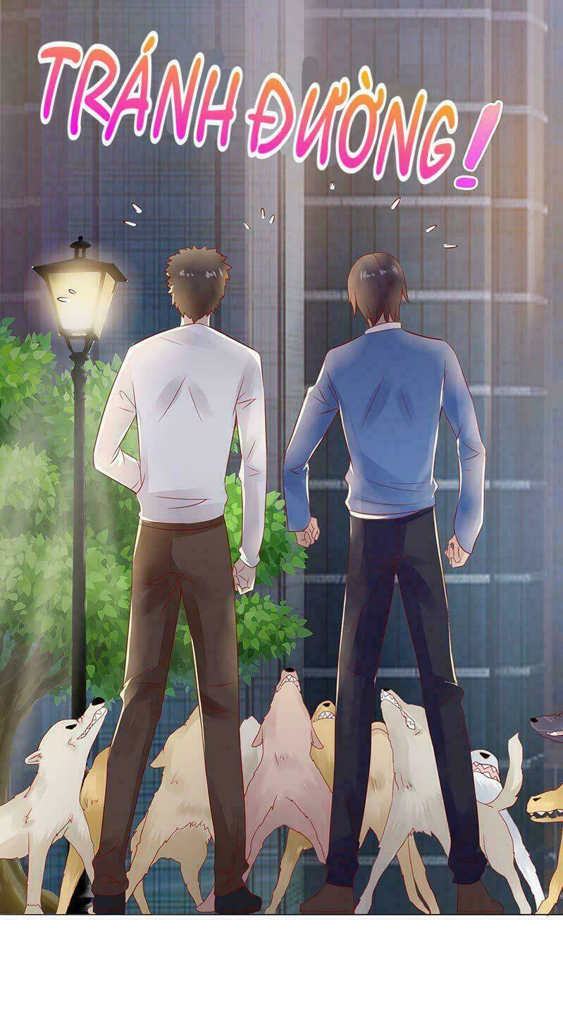 Băng Sơn Học Trưởng Không Được Chọc: Chapter 15