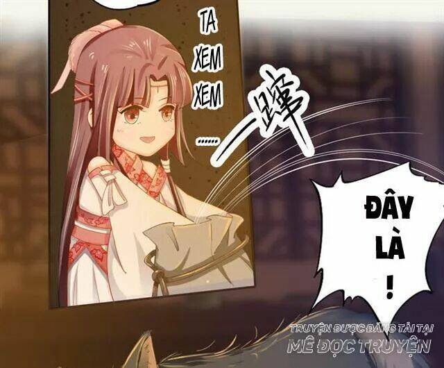 Tuyệt Thế Luyện Đan Sư: Chapter 17