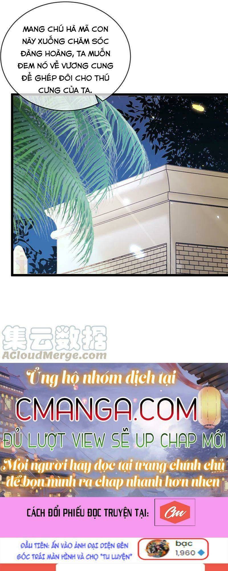 Sủng Hậu Của Vương: Chapter 119