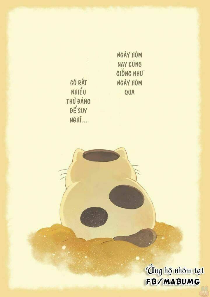 Ông Chú Và Con Mèo Mặt Bựa: Chapter 1