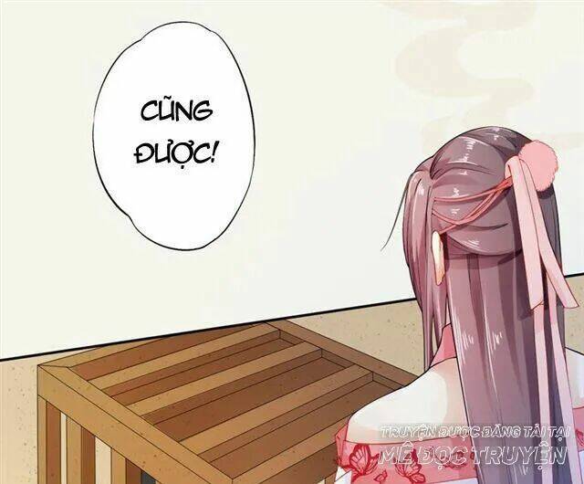 Tuyệt Thế Luyện Đan Sư: Chapter 10