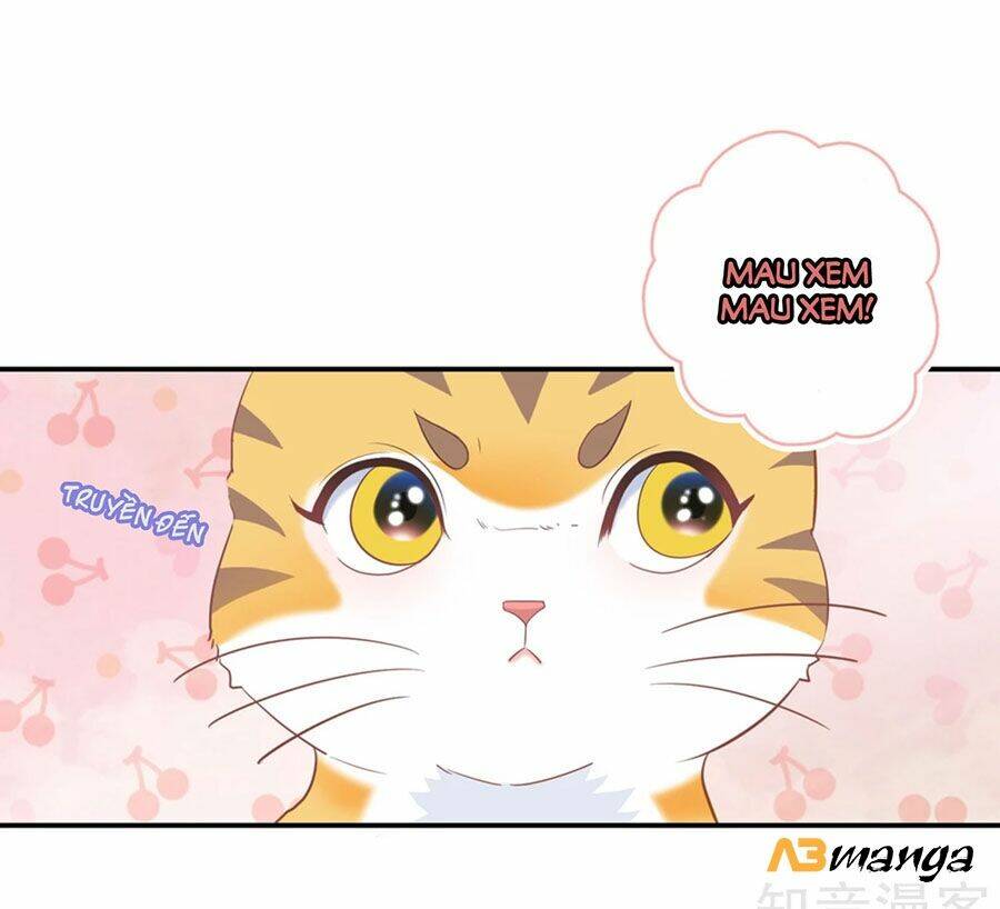 Hẹn Hò Siêu Tốc: Chapter 1