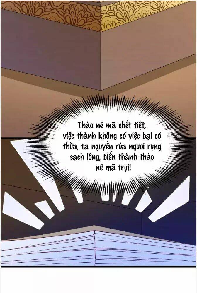 Tiểu Hoàng Thư Và Tiểu Hoàng Thúc: Chapter 65