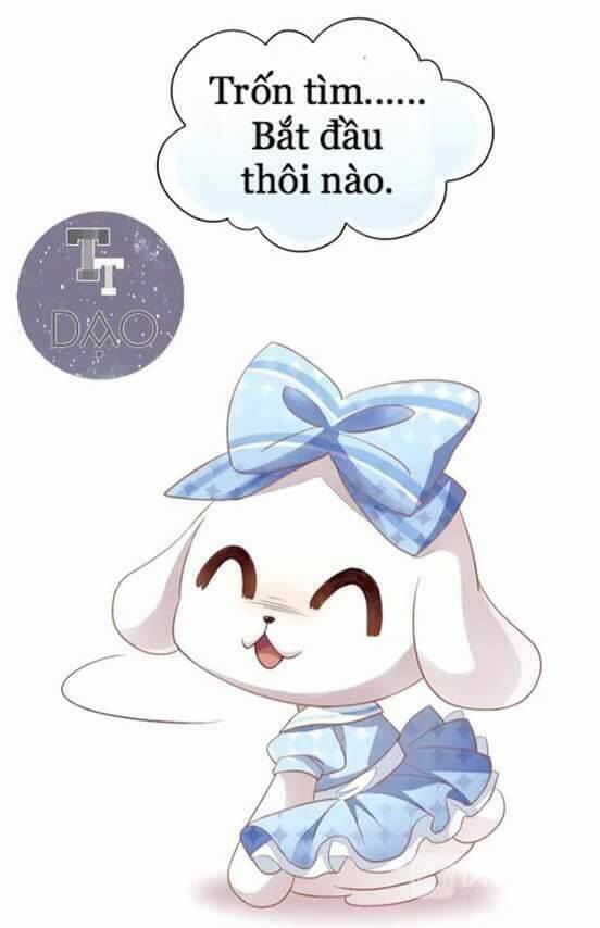 Dưới Móng Vuốt Mèo: Chapter 7