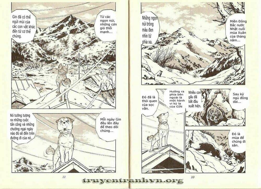 Chú Chó Có Nghĩa - Ginga Nagareboshi Gin: Chapter 7