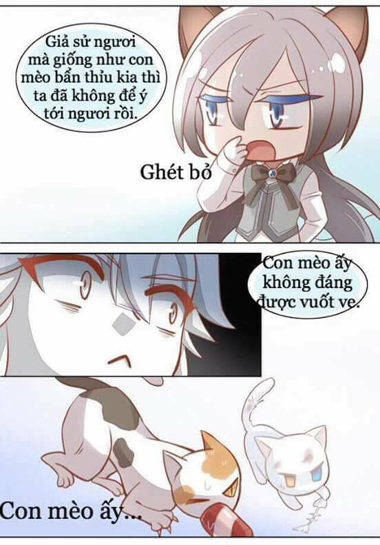 Dưới Móng Vuốt Mèo: Chapter 8
