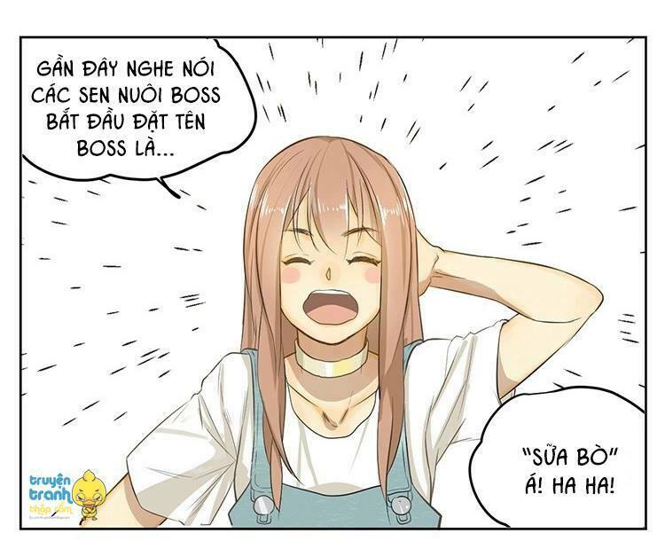 Cứu mạng ! Loài mèo thống trị thế giới rồi !: Chapter 20