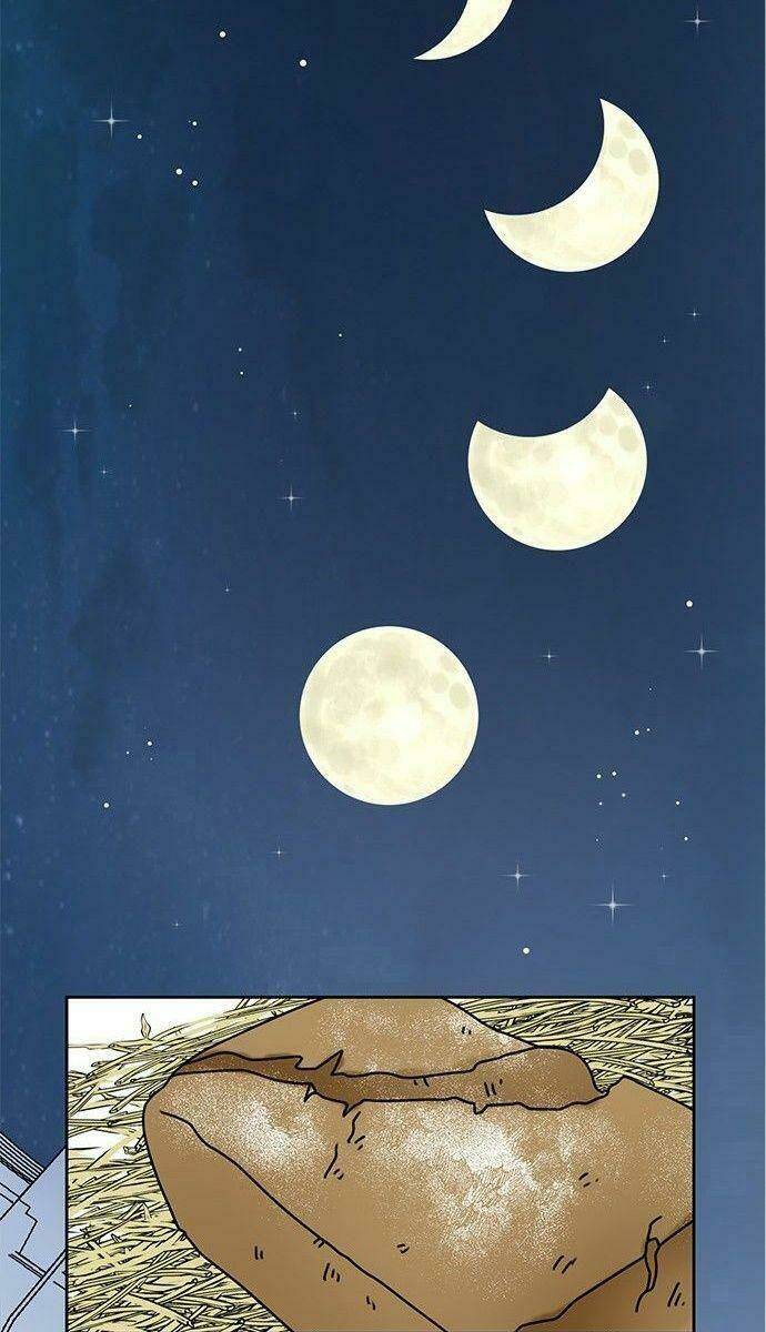 Tôi Trở Thành Đầu Bếp Của Long Vương: Chapter 19