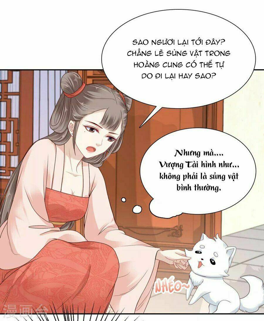 Phú Bà Bạc Tỷ Trong Lãnh Cung: Chapter 11