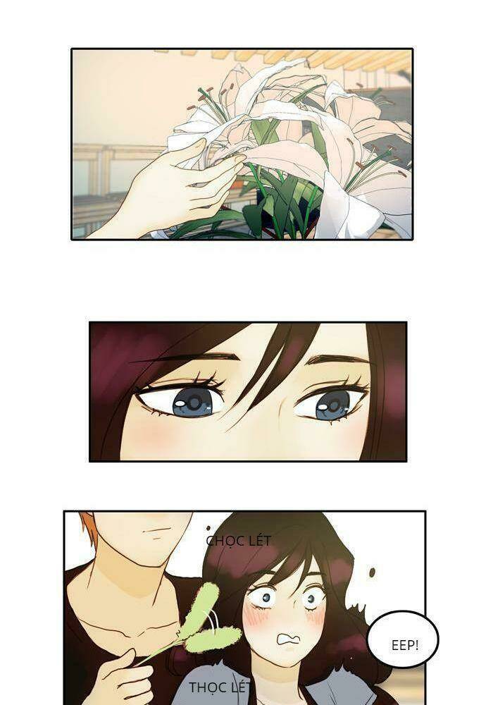 Khúc hát người cá Siren: Chapter 26