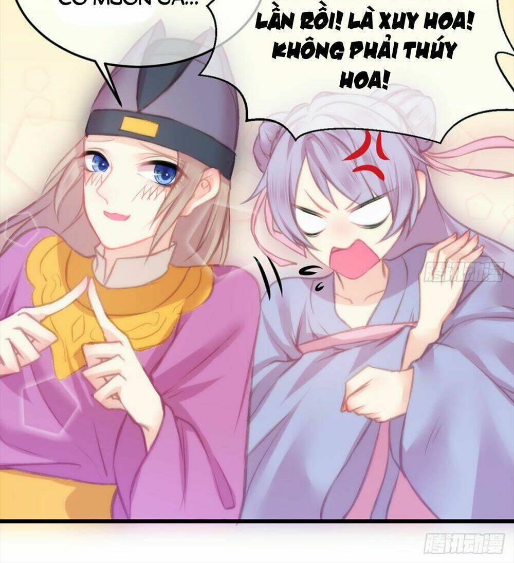 Trẫm Quyết Định Giải Tán Hậu Cung: Chapter 6