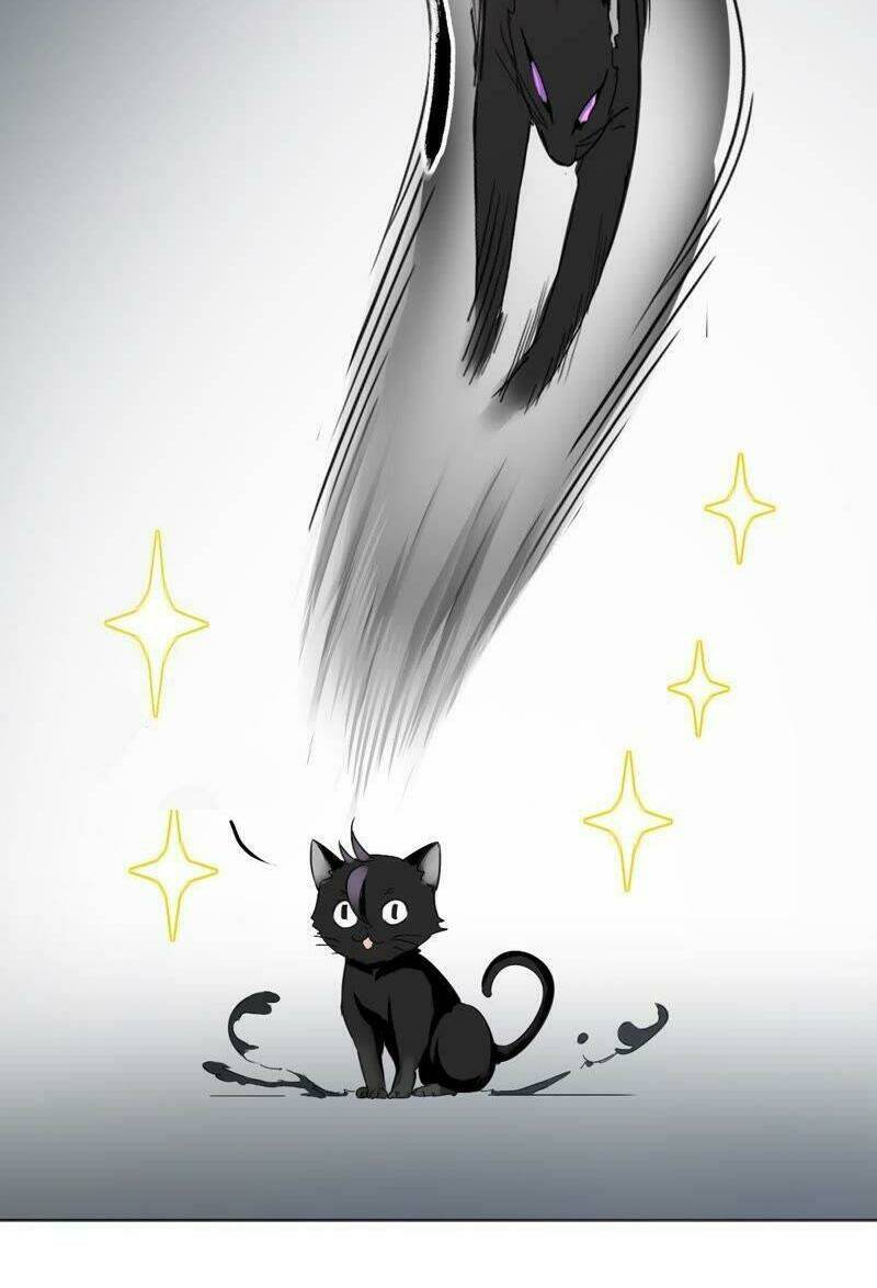 Thập Nhị Hắc Miêu: Chapter 5