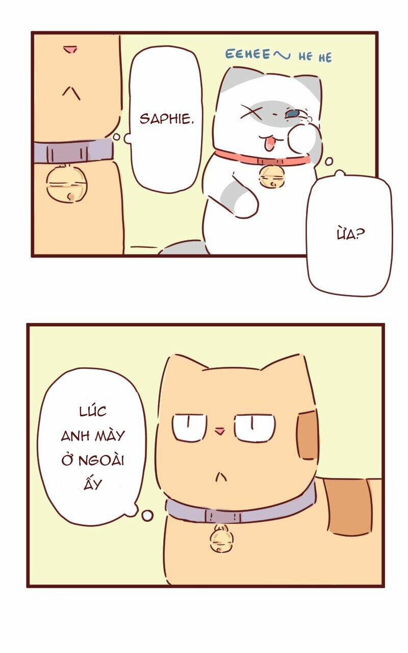 Saphie: Chú mèo một mắt: Chapter 28