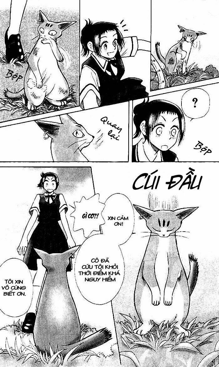 Lời Thì Thầm Từ Trái Tim: Chapter 7