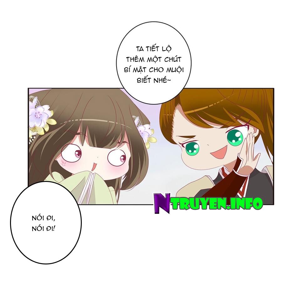 Thông Linh Phi: Chapter 551