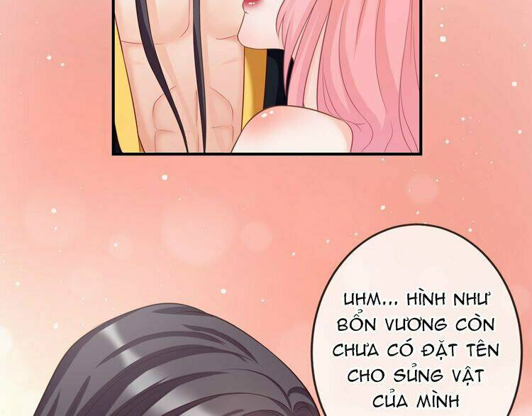 Báo Cáo Vương Gia, Vương Phi Là Một Con Mèo: Chapter 4