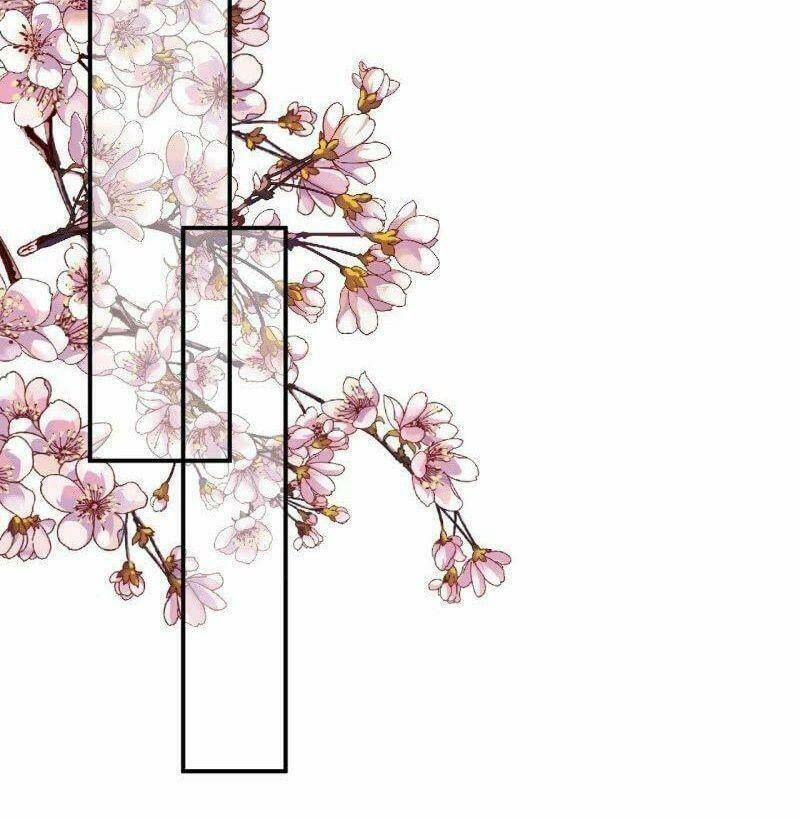 Vương Gia Kiêu Ngạo Quá Khó Cua: Chapter 62