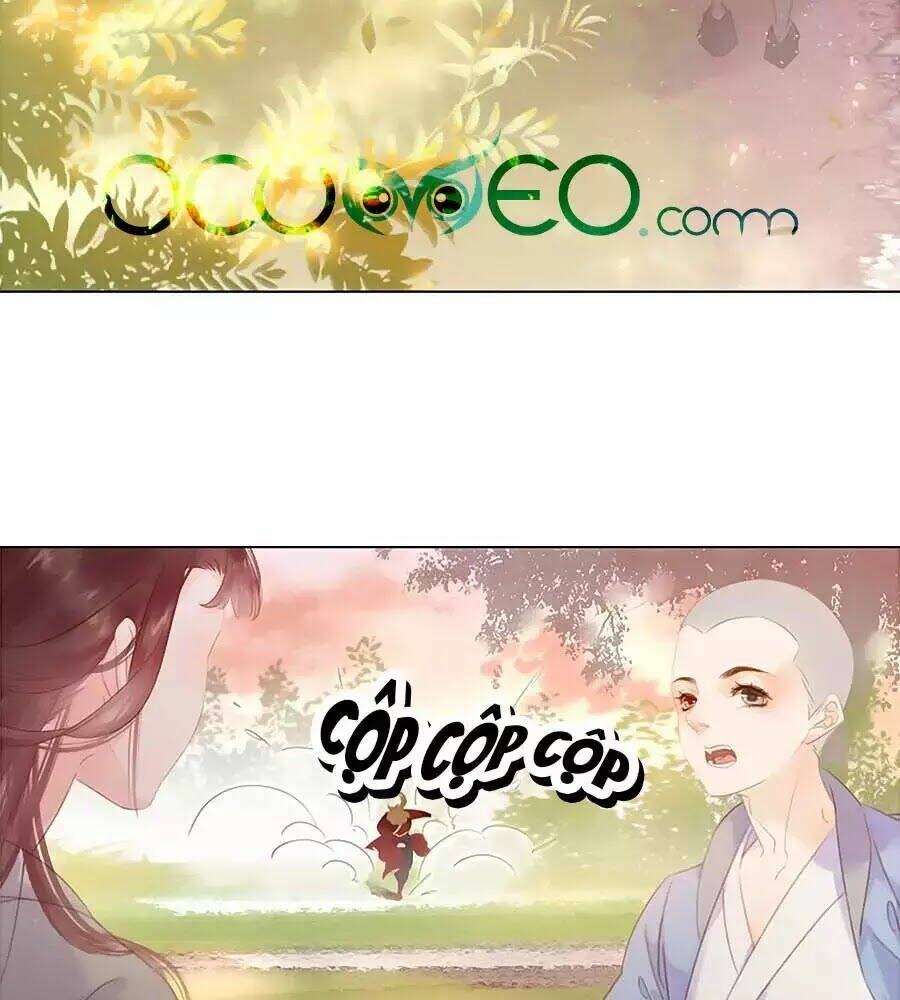 Tiểu Sư Phụ, Tóc Giả Của Ngài Rơi Rồi!: Chapter 19