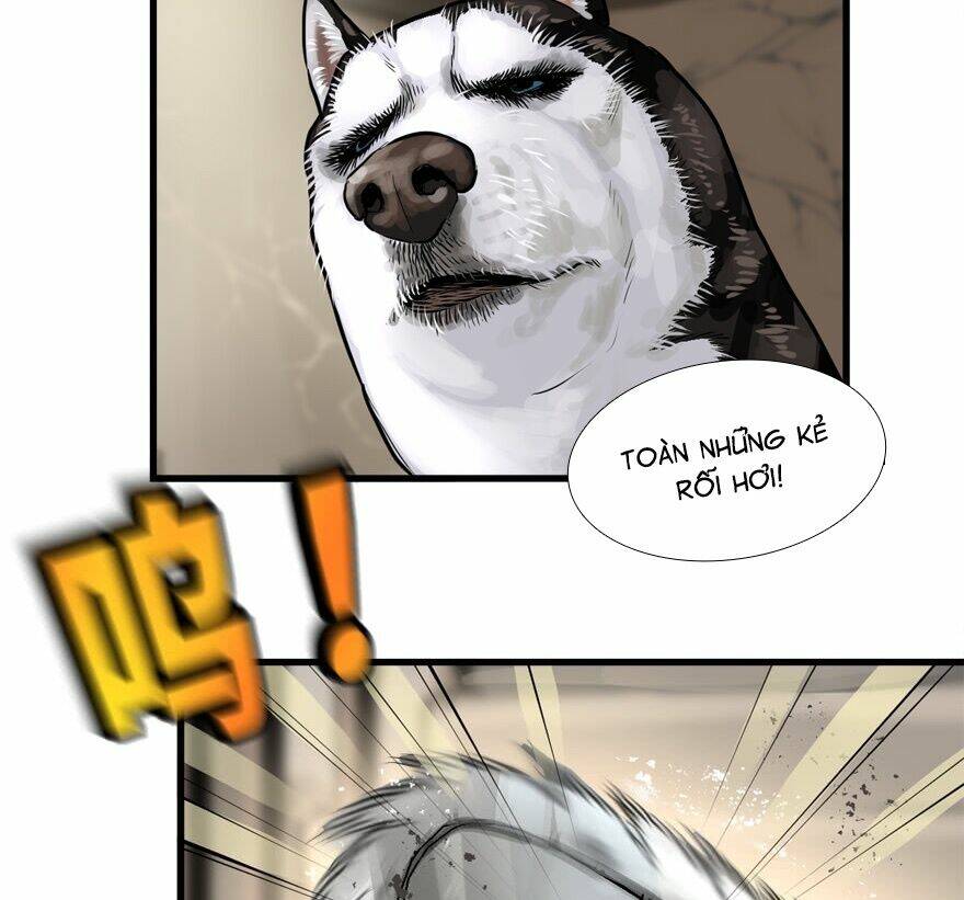 Vua Sinh Tồn: Chapter 66