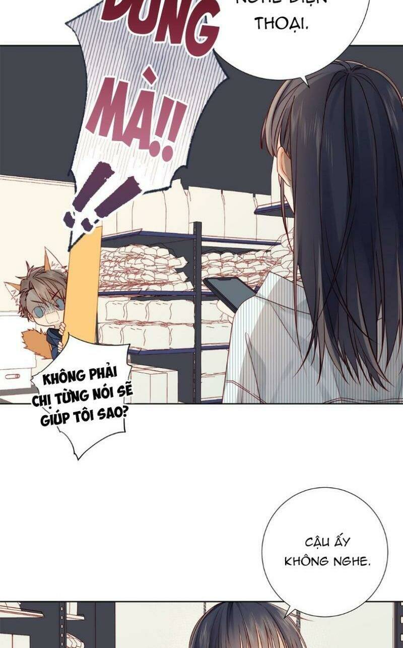 Lời Thề Như Sương Triều: Chapter 17