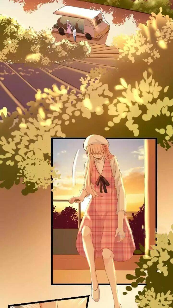 Bản Hợp Đồng Của Tổng Tài Lạnh Lùng: Chapter 8