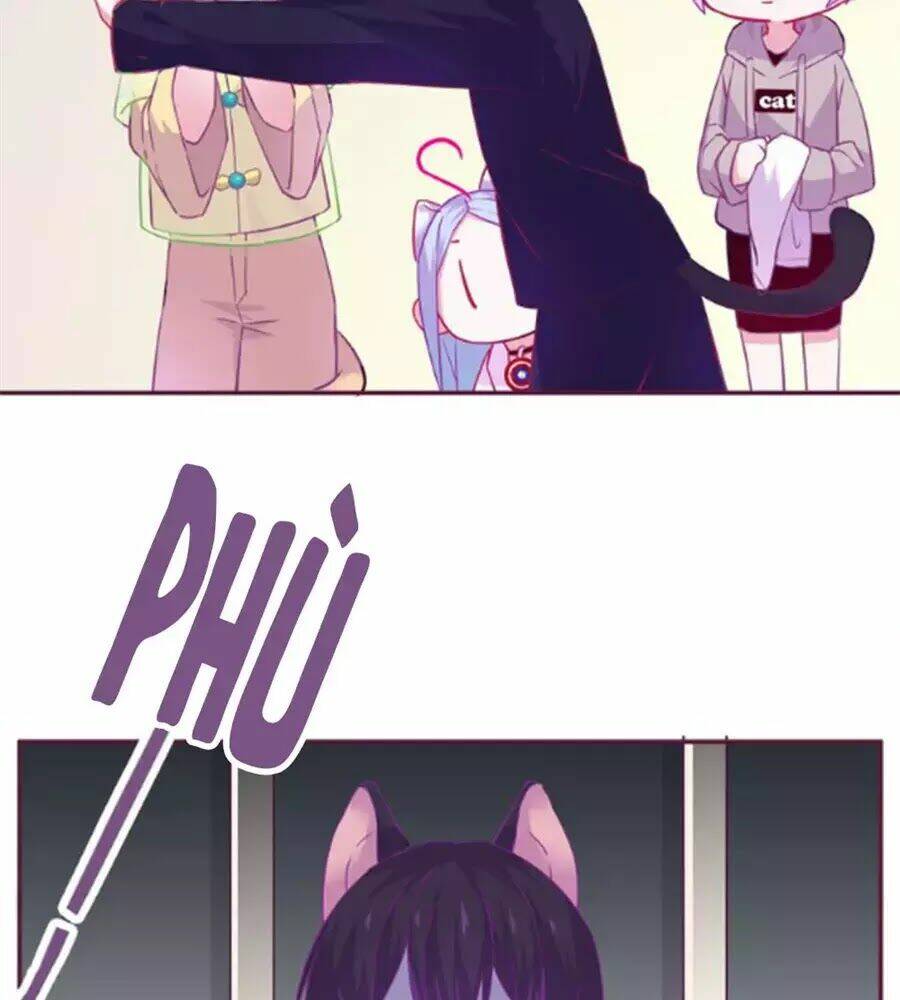 Đừng Nghịch, Ta Chỉ Muốn Yên Tĩnh: Chapter 62