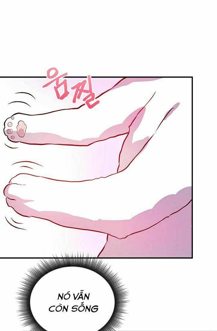 Sự Trả Thù Của Chúa Tể Bóng Tối: Chapter 1