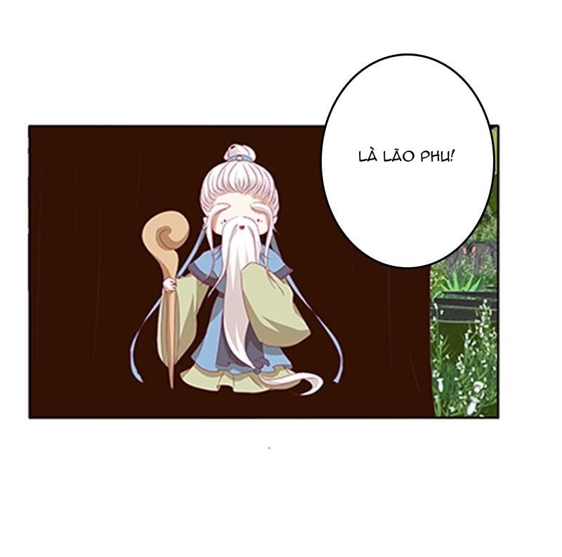 Thông Linh Phi: Chapter 384