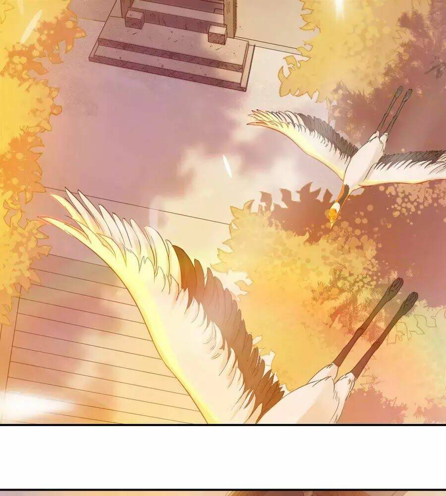 Nữ Tiên Tôn Bận Đào Hôn: Chapter 1.1