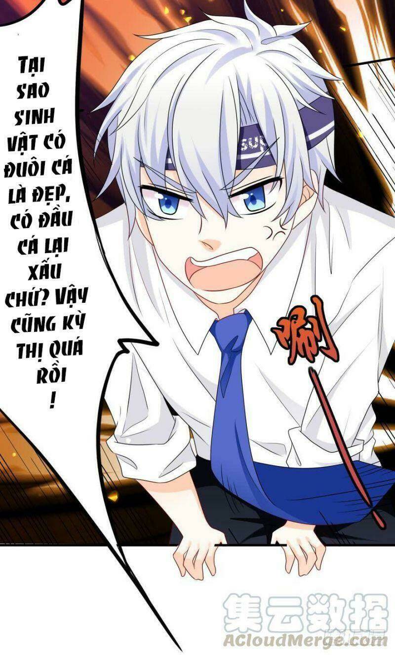 Nhân Ngư Học Trưởng, Đừng Ôm Ta!: Chapter 41