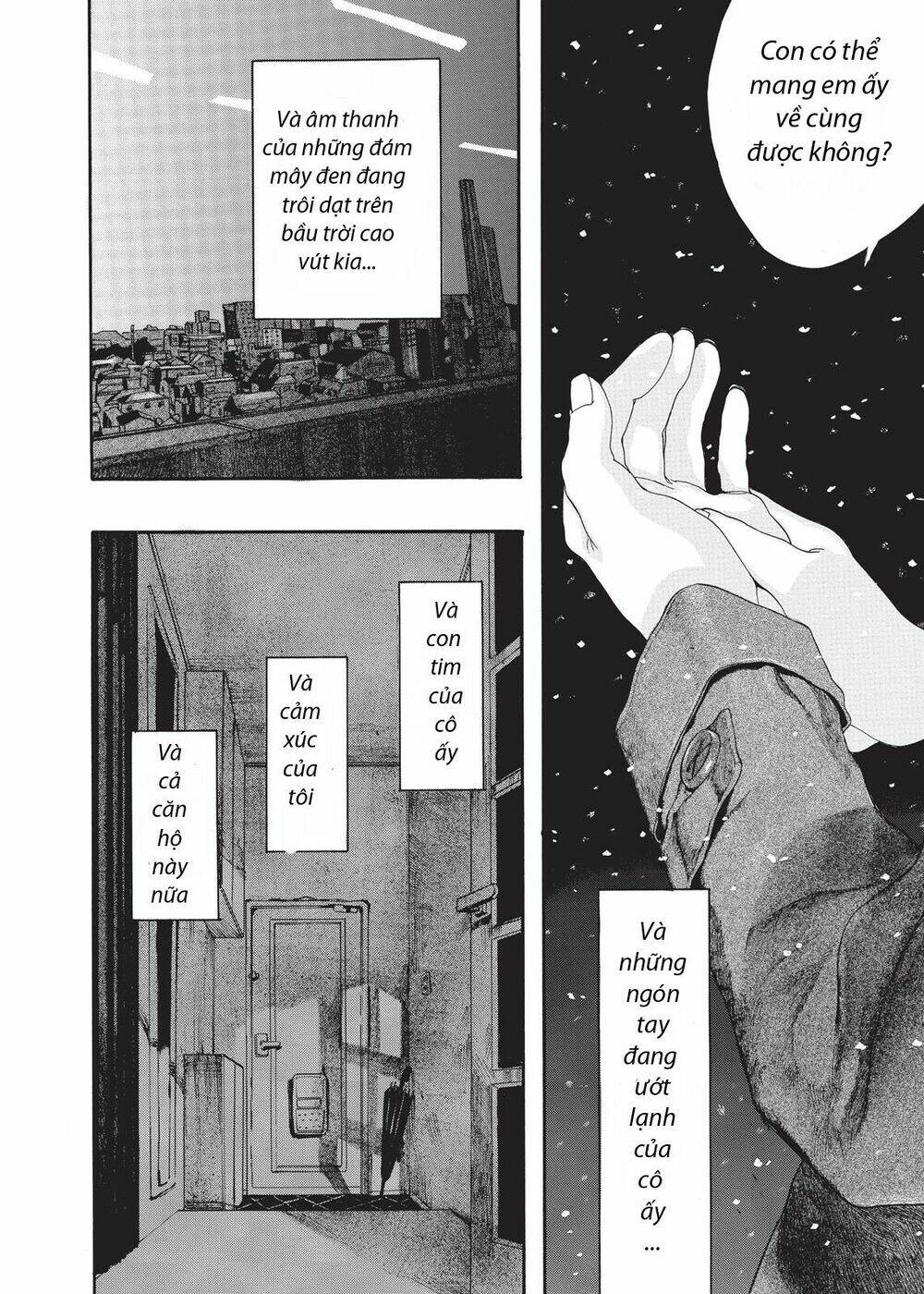 Chú Mèo Và Cô Chủ: Chapter 4