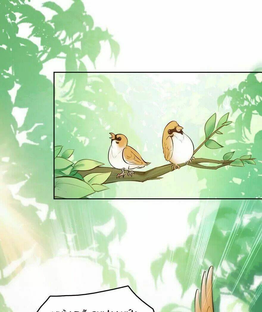 Sau Này Vẫn Cứ Thích Em: Chapter 33