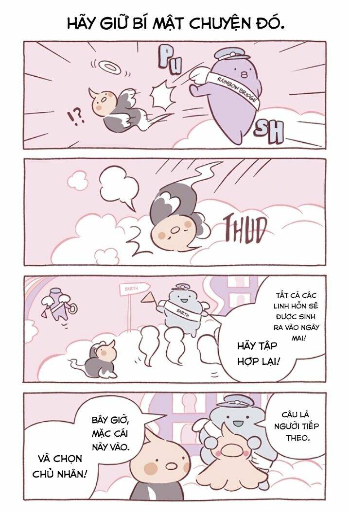 Chú Mèo Kỳ Diệu Kyuu-Chan: Chapter 691