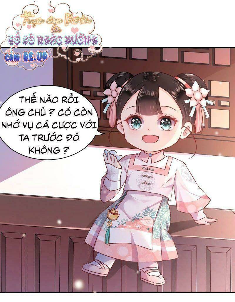 Quận Chúa Vững Vàng, Thiết Lập Nhân Vật Không Thể Vỡ: Chapter 4