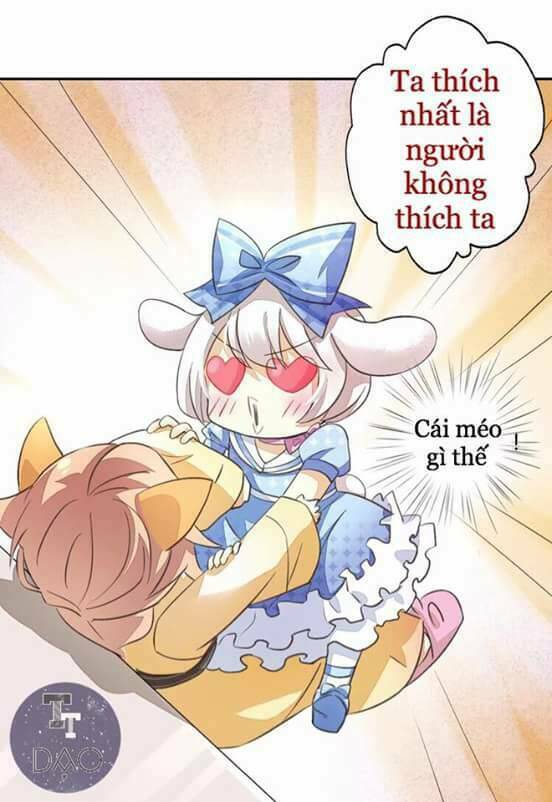 Dưới Móng Vuốt Mèo: Chapter 5