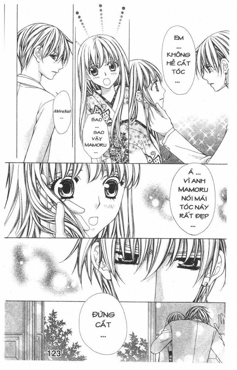 Trái Tim Kim Cương: Chapter 1