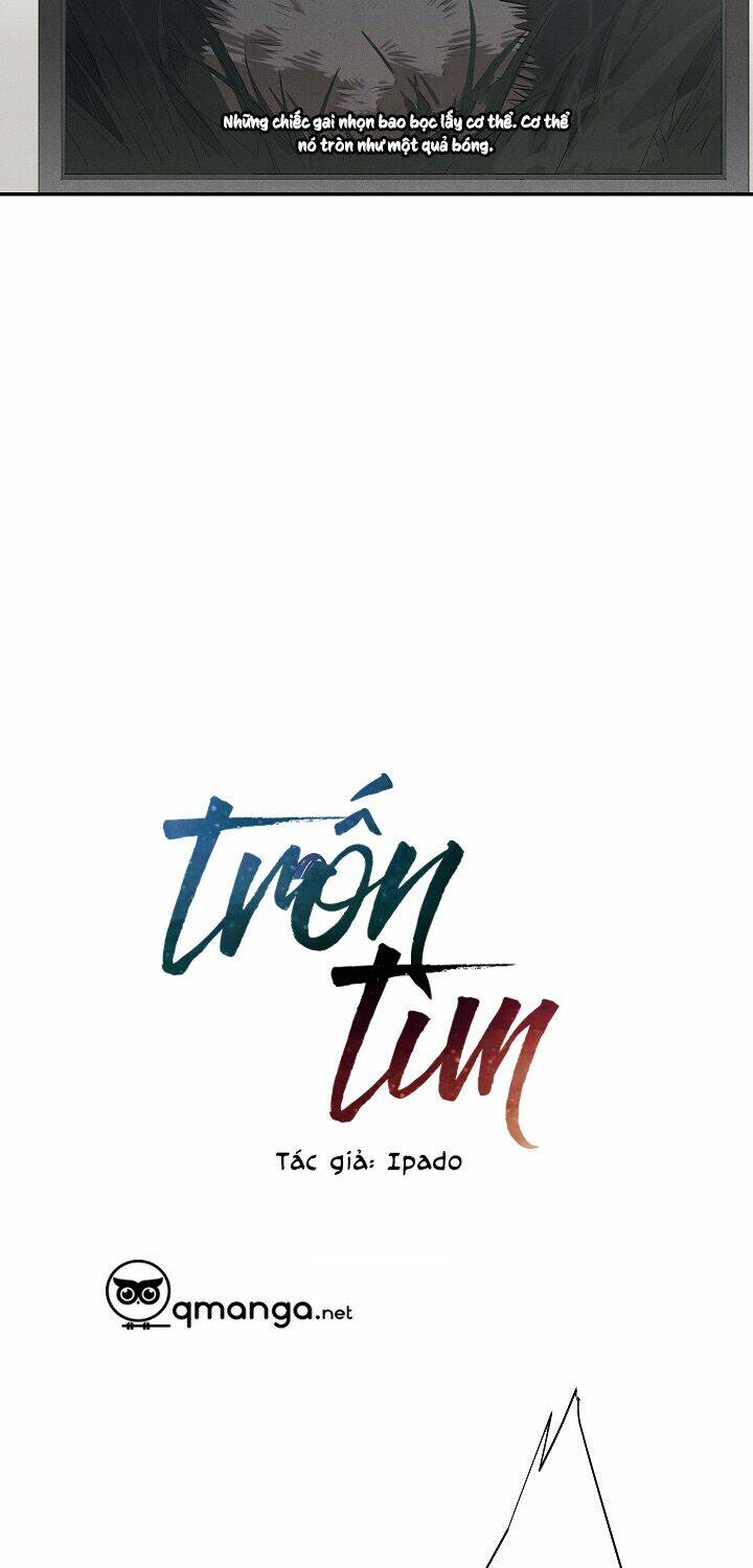 Trốn Tìm: Chapter 5