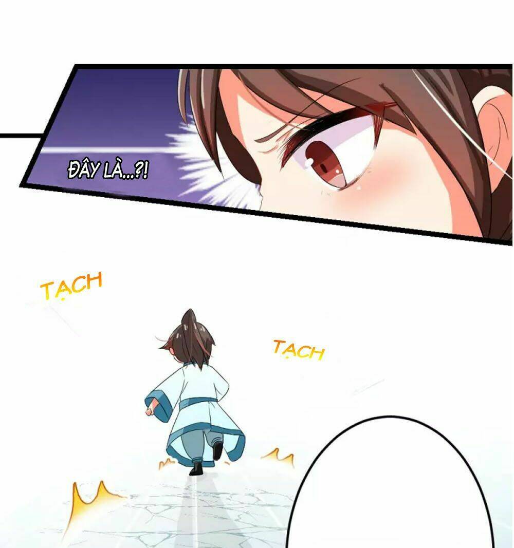 Đệ Tử Của Ta Là Heo: Chapter 5