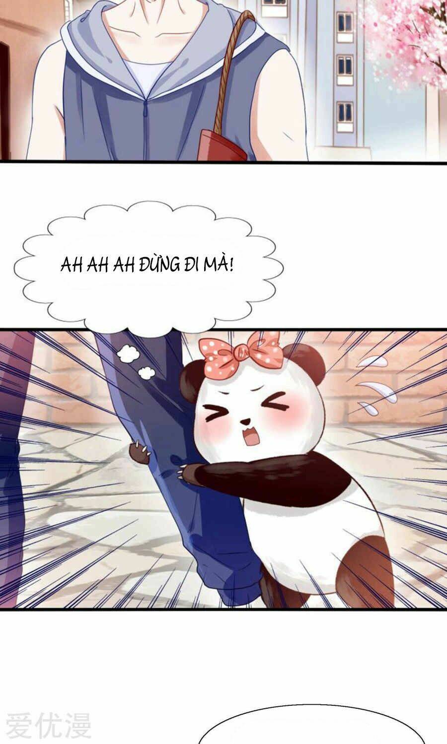 Tôi Bị Gấu Trúc Nhìn Trúng Rồi: Chapter 1