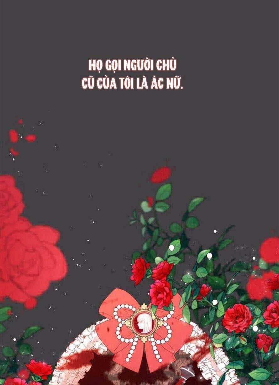 Lòng Trung Thành Với Kẻ Ác: Chapter 15