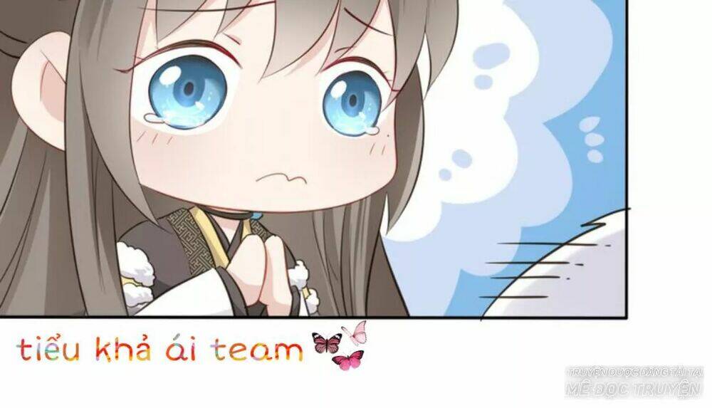 Tước Kiều Tiên: Chapter 3.1