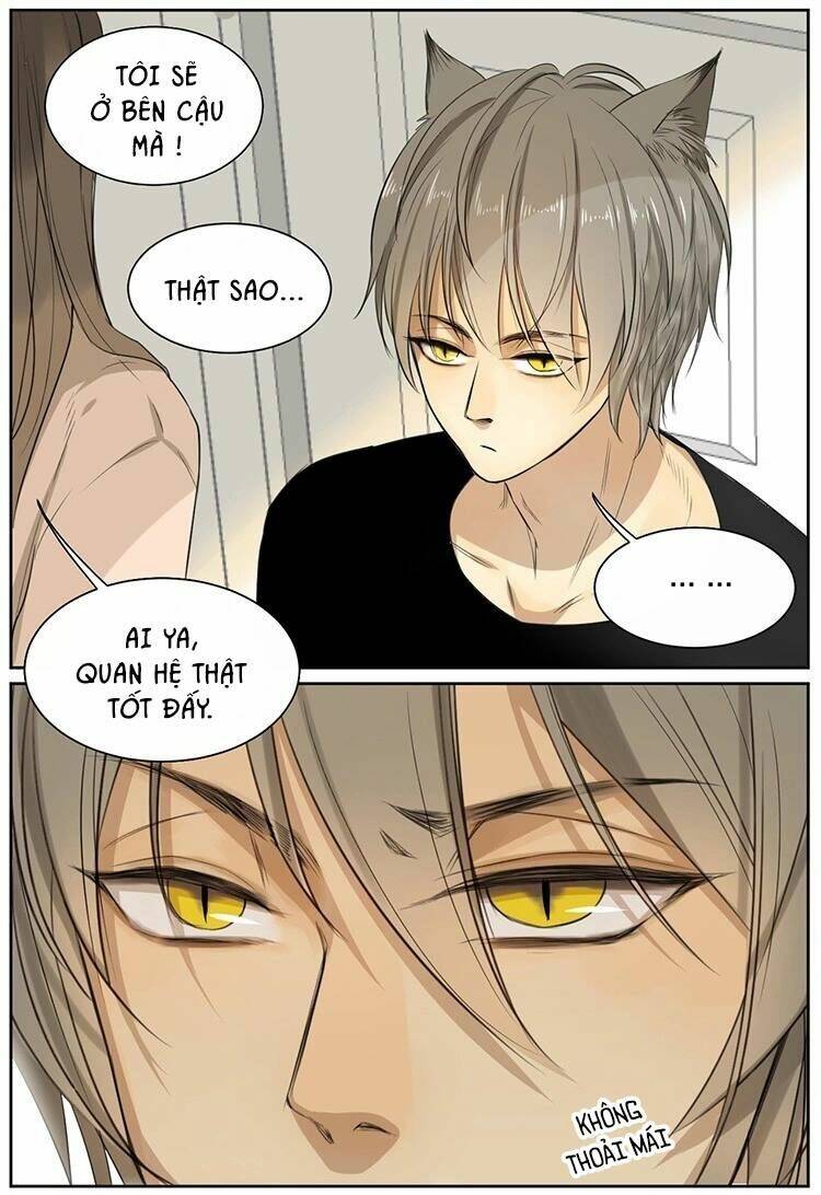 Cứu Mạng! Loài Mèo Thống Trị Thế Giới Rồi!: Chapter 9