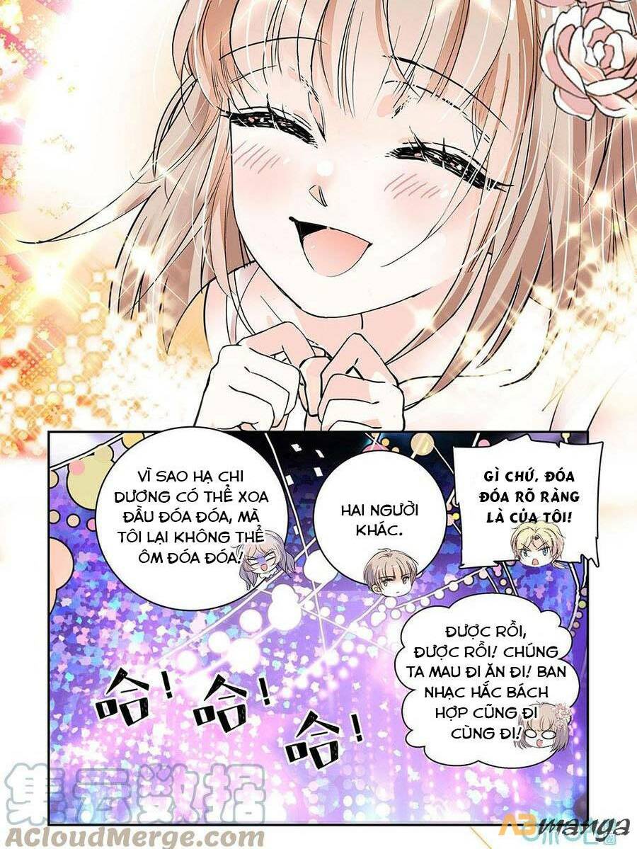 Thanh Ninh Chi Hạ: Chapter 481