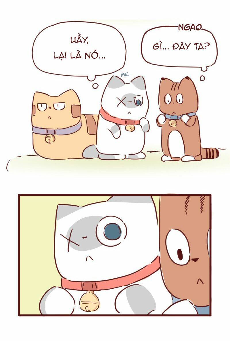 Saphie: Chú mèo một mắt: Chapter 28