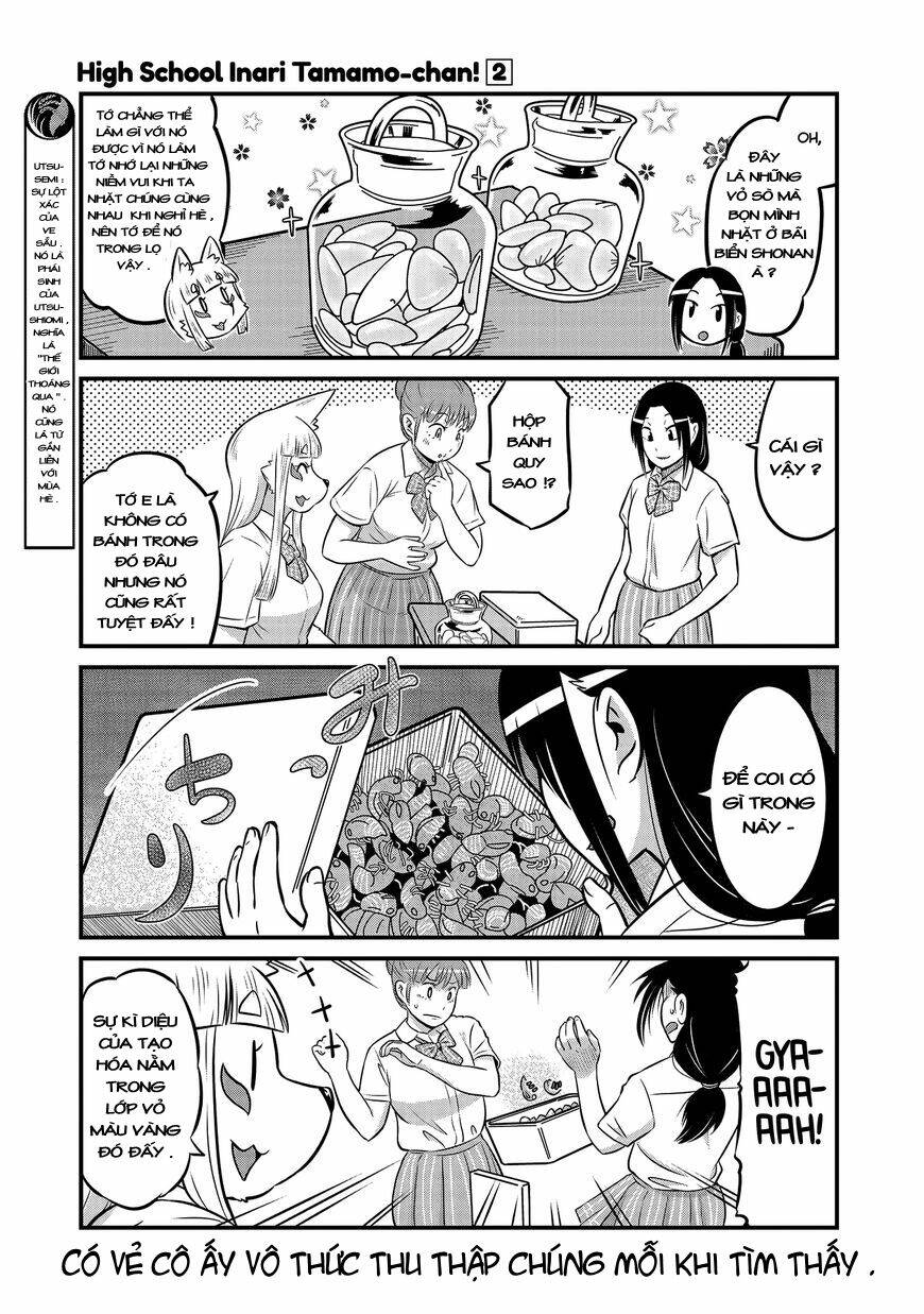 High School Inari Tamamo-Chan: Chapter 16
