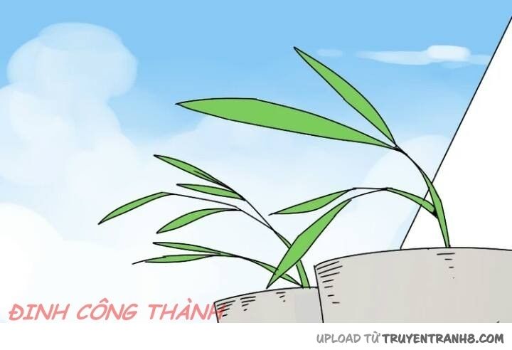 Ứng Dụng Thẩm Mỹ: Chapter 26